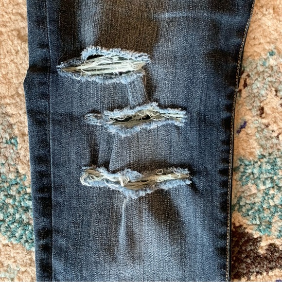 Daytrip Lynx Ankle Skinny Jeans 25R - Picture 4 of 7